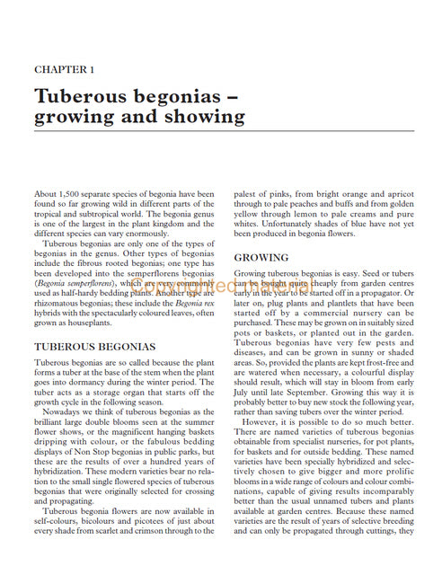 Tuberous Begonias