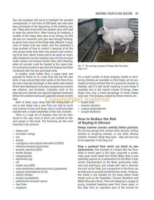 Sheep Health&amp;#44; Husbandry and Disease