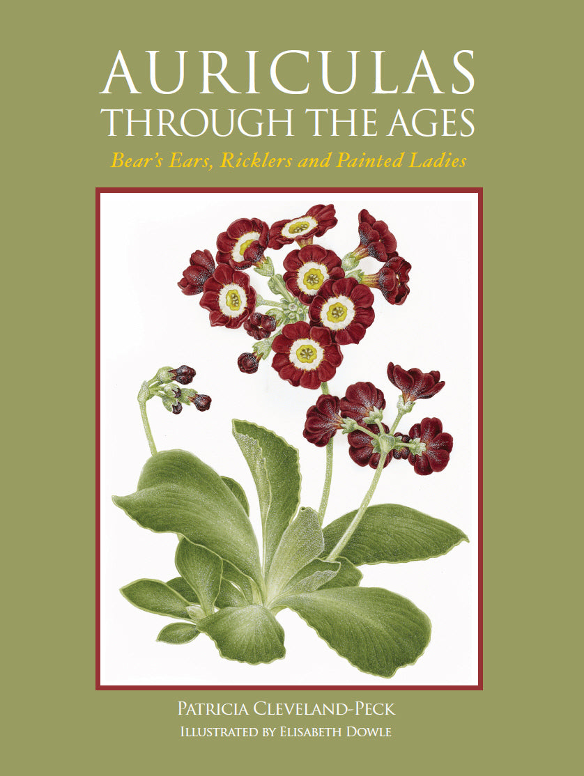 Auriculas through the Ages