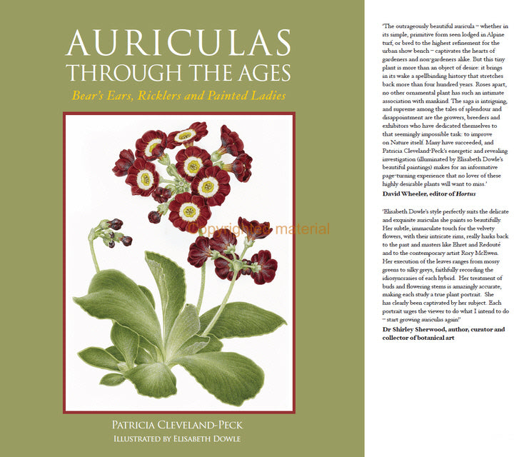 Auriculas through the Ages
