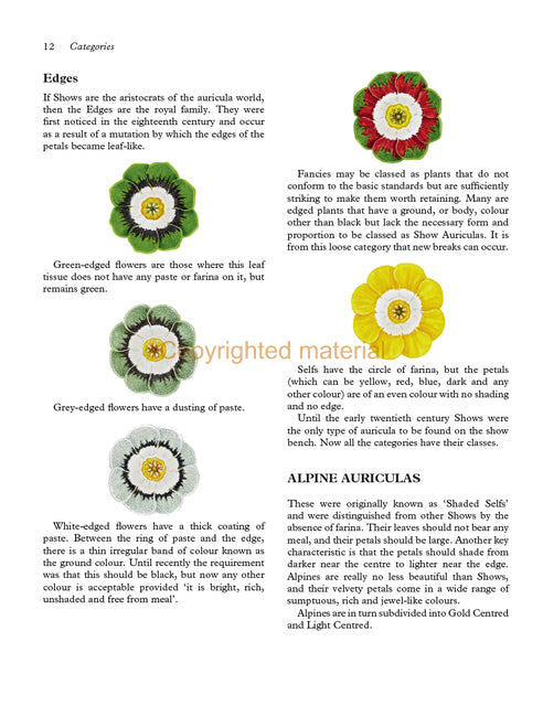 Auriculas through the Ages