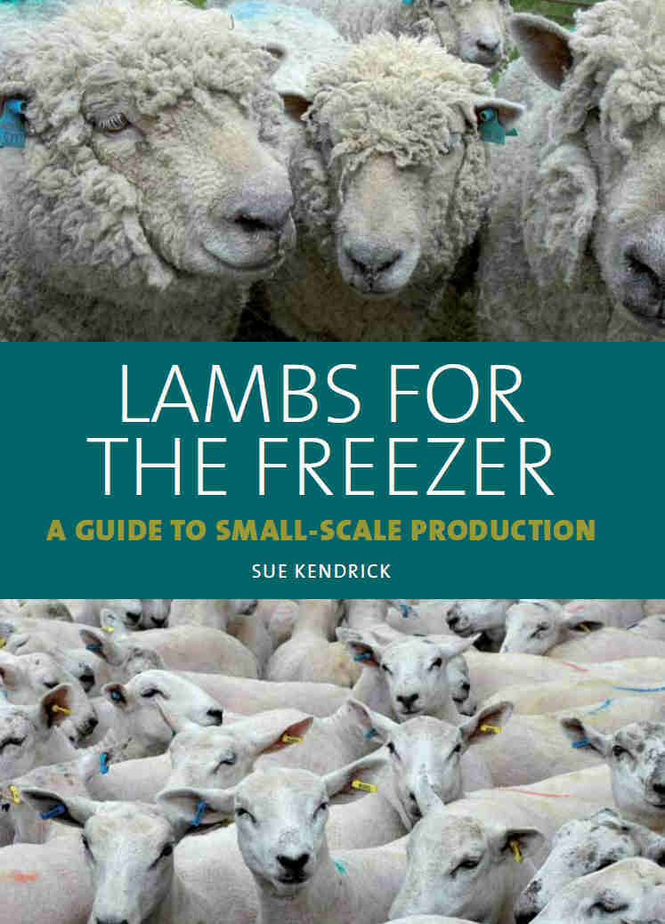 Lambs for the Freezer