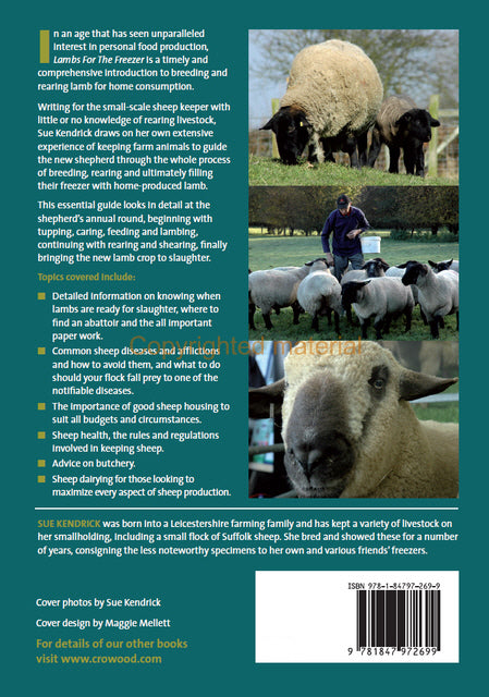 Lambs for the Freezer