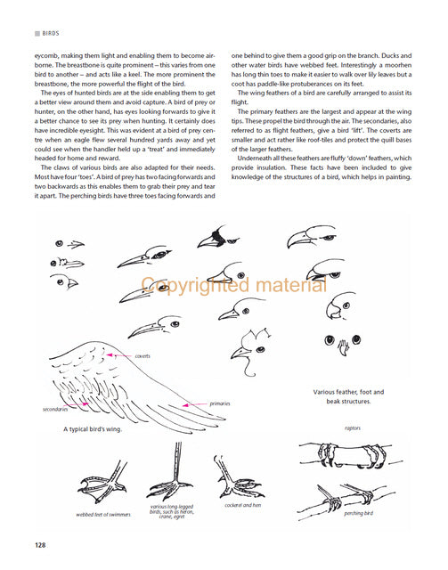The Art of Chinese Brush Painting
