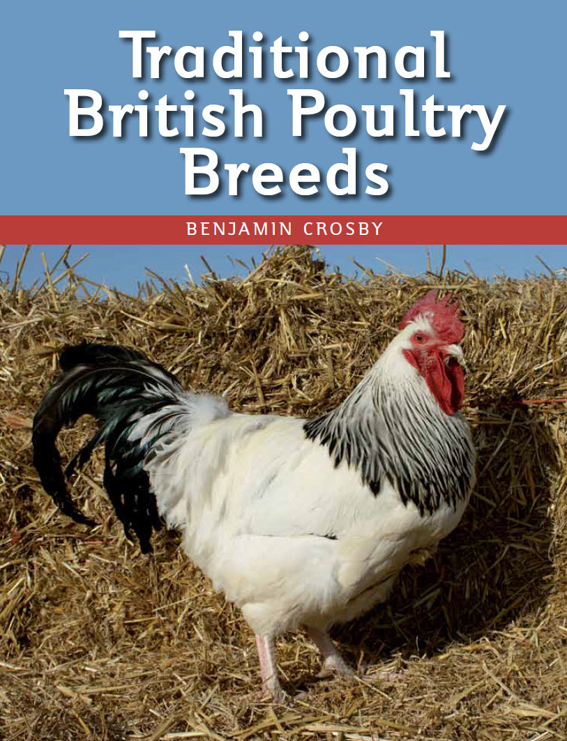 Traditional British Poultry Breeds