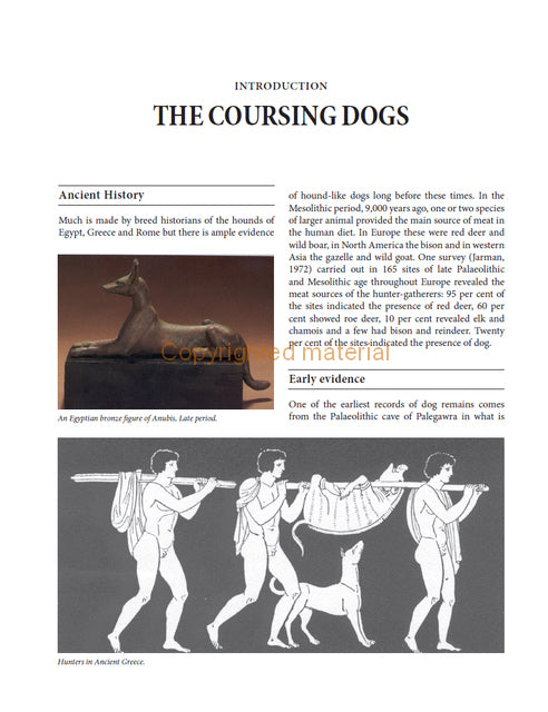 Sighthounds