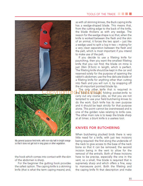 Butchering Small Game and Birds