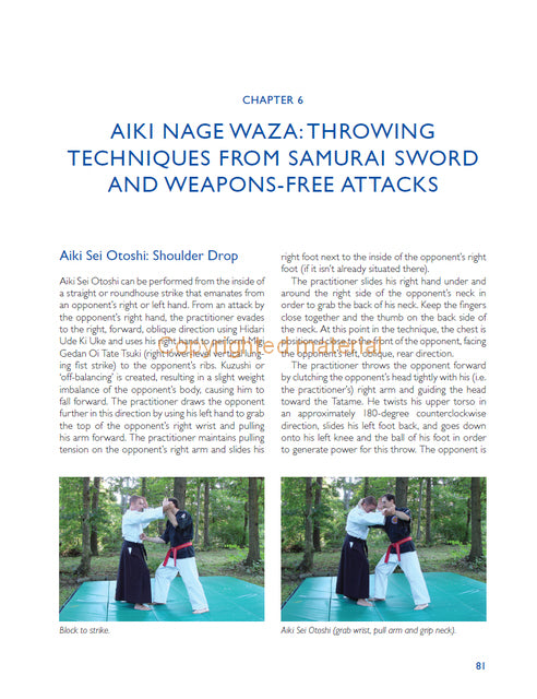 Aiki-Jujutsu