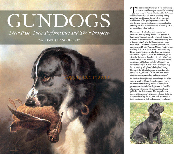 Gundogs