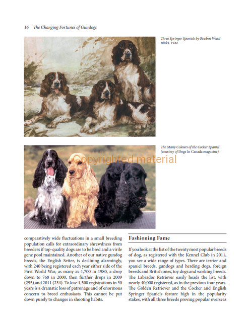Gundogs