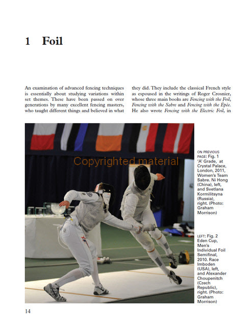 Advanced Fencing Techniques