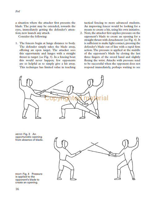 Advanced Fencing Techniques