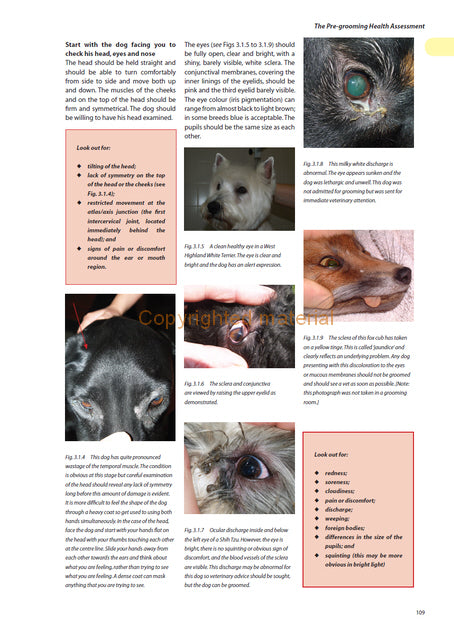 The Dog Groomer&#39;s Manual