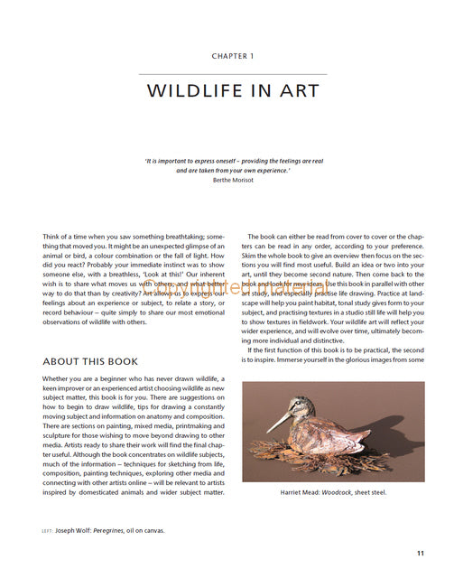 The Wildlife Artist&#39;s Handbook