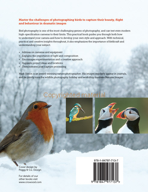 Photographing Birds