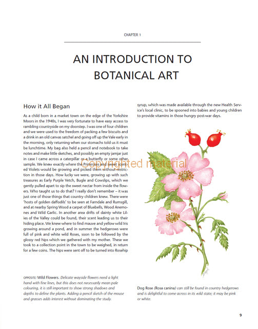 Botanical Painting with Watercolour