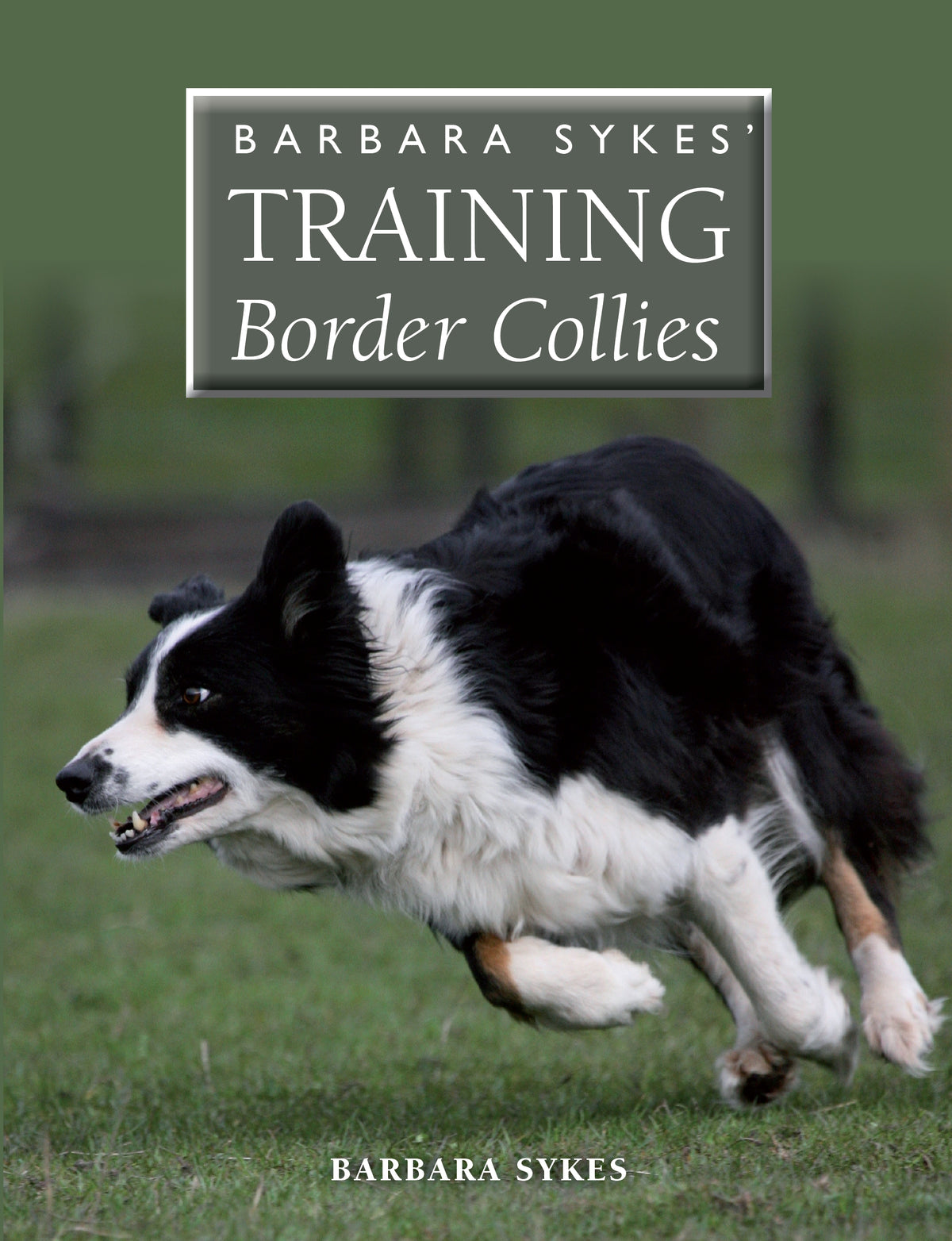 Barbara Sykes&#39; Training Border Collies