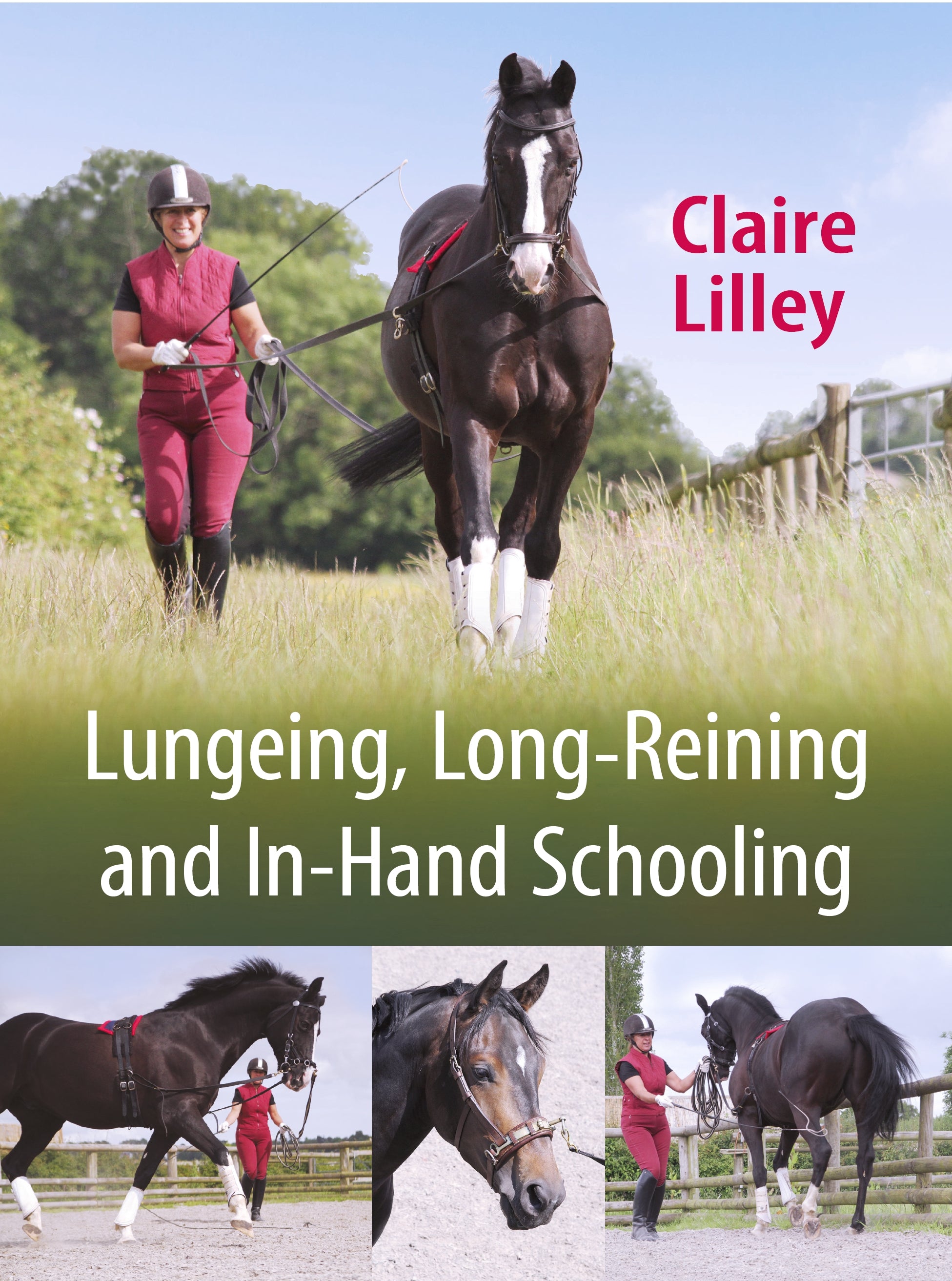 Lungeing&#44; Long-Reining and In-Hand Schooling