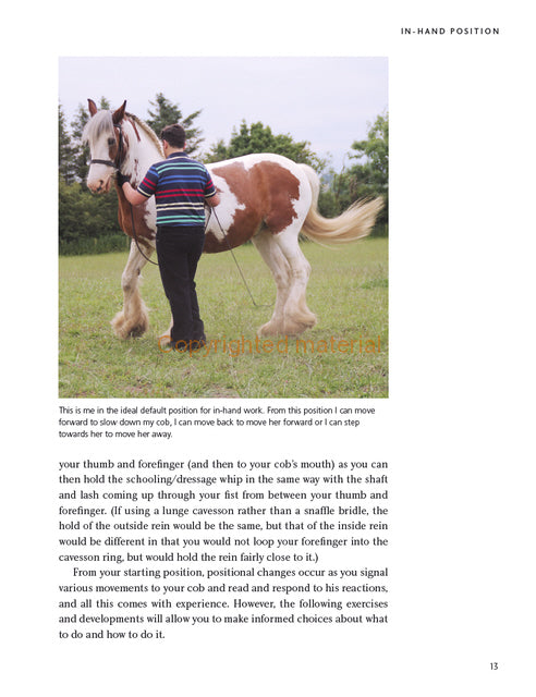 The Cobs Can! Workbook