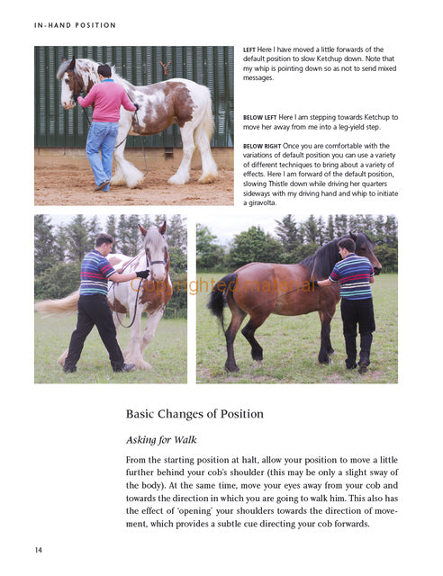 The Cobs Can! Workbook