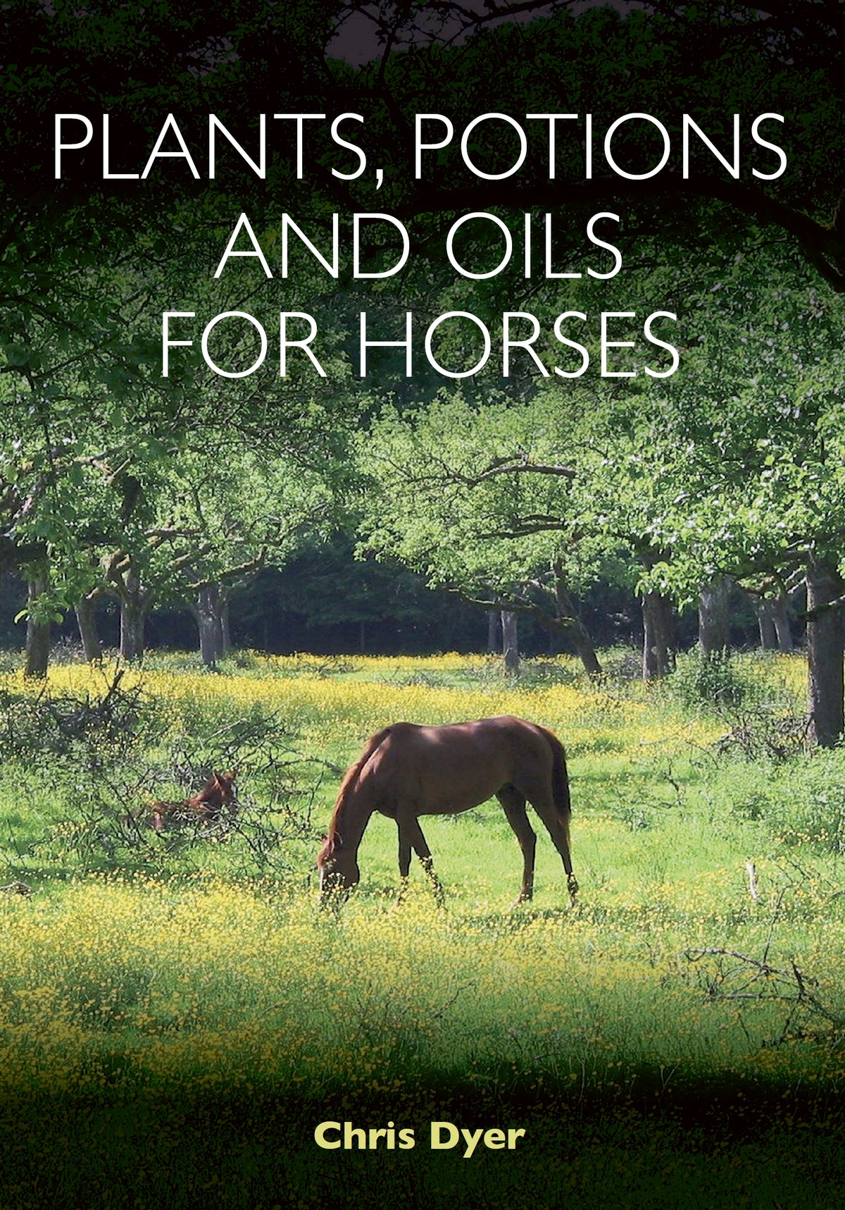 Plants&amp;#44; Potions and Oils for Horses