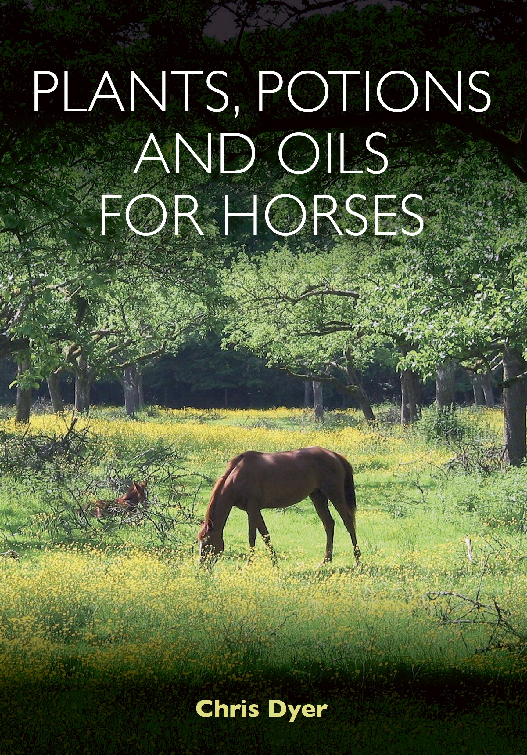 Plants&#44; Potions and Oils for Horses