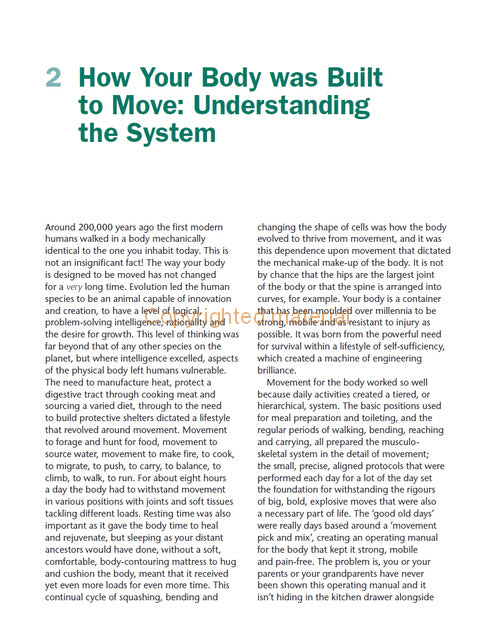 Biomechanics for the Equestrian