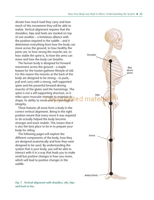 Biomechanics for the Equestrian