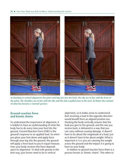 Biomechanics for the Equestrian