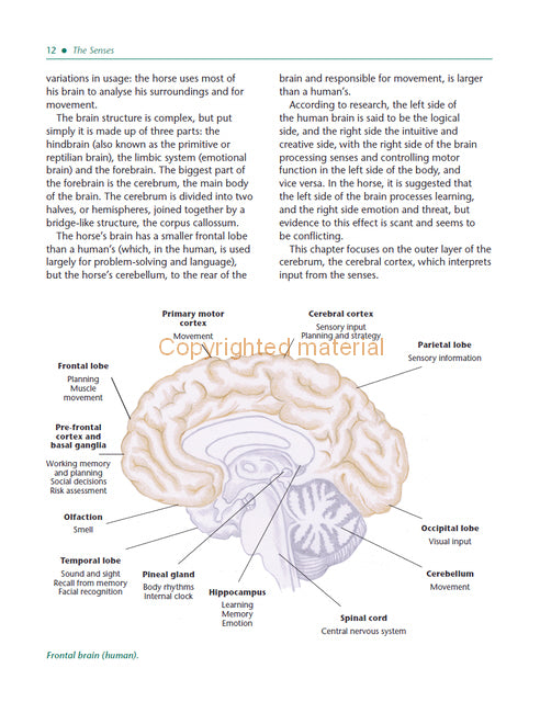 The Psychology of Horsemanship