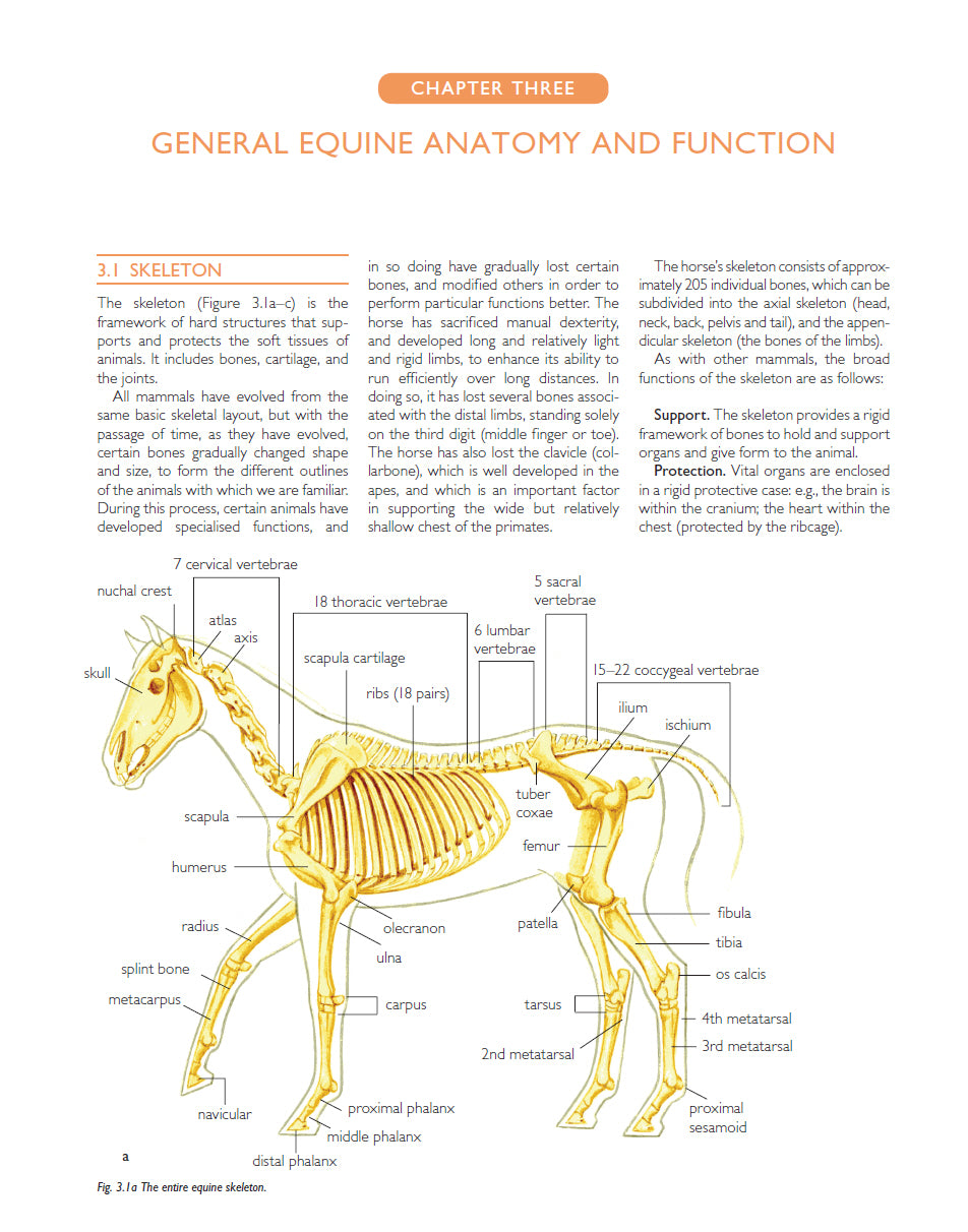 Principles of Farriery