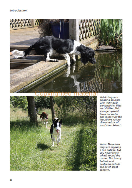 Difficult Dogs