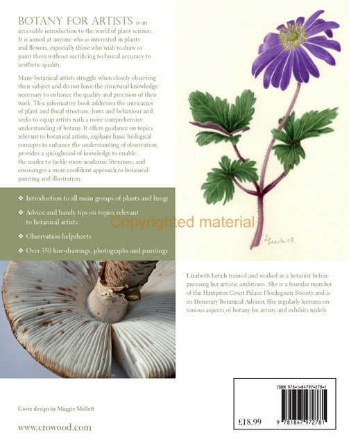 Botany for Artists