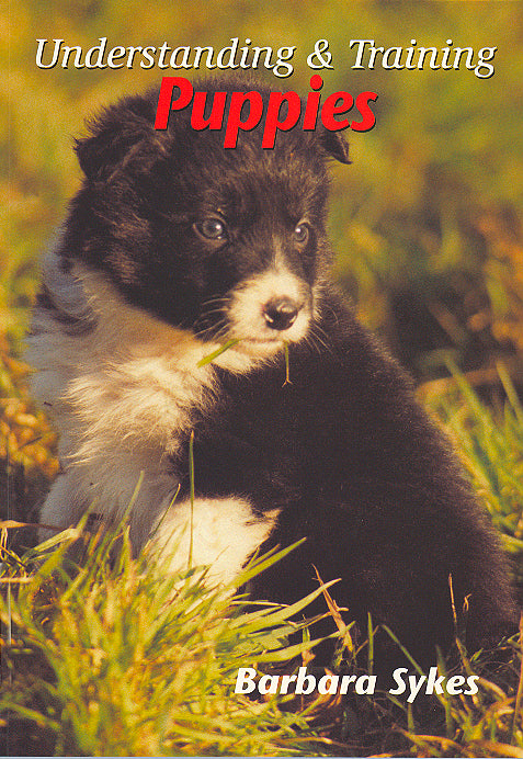 Understanding and Training Puppies