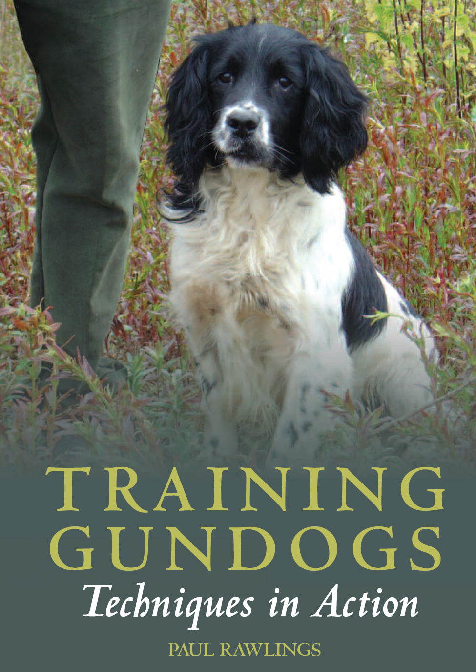 Training Gundogs