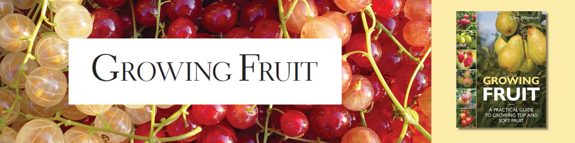 Growing Fruit by Chris Whitelock