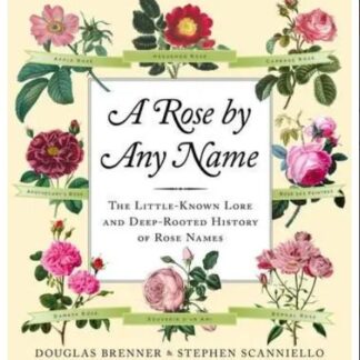 Rose By Any Name  (Hardback)
