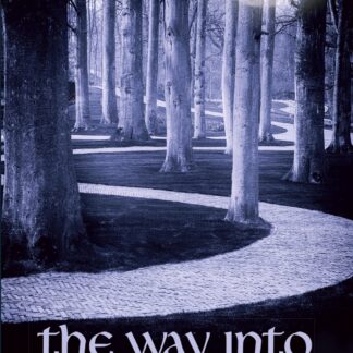 Way into Faerie  (Paperback)