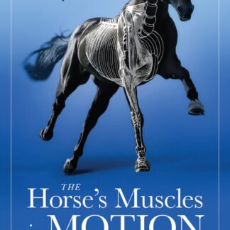Horse's Muscles in Motion  (Ebook)