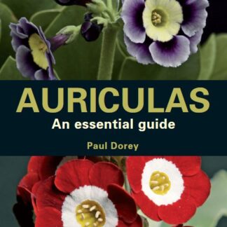 Auriculas  (Paperback)