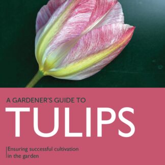 Tulips  (Ebook)