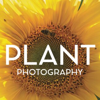 Plant Photography (Ebook)