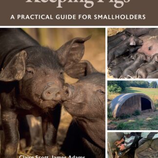 Keeping Pigs (Ebook)