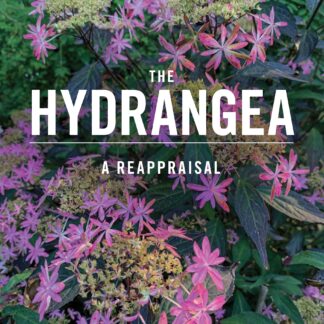 The Hydrangea (Hardback)