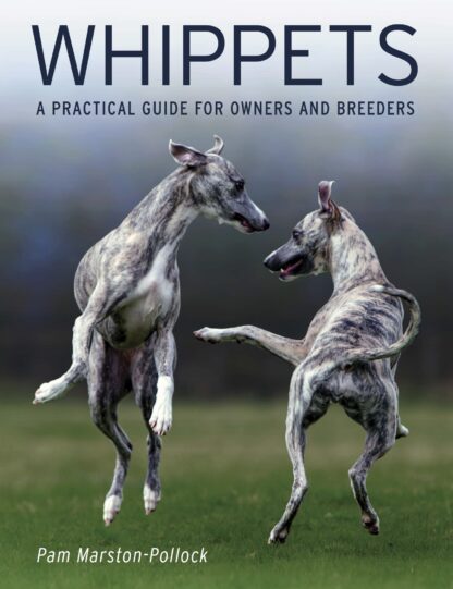 Whippets  (Paperback)