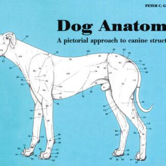 Dog Anatomy  (Paperback)