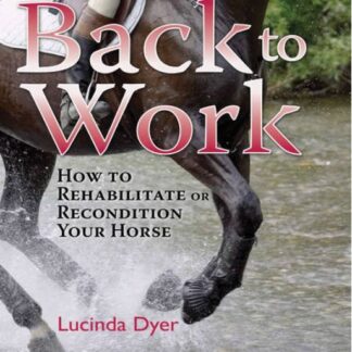Back to Work  (Hardback)