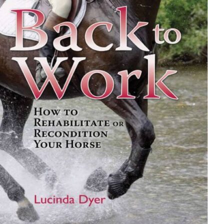 Back to Work  (Hardback)