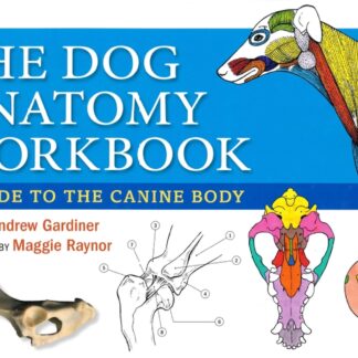 Dog Anatomy Workbook  ()