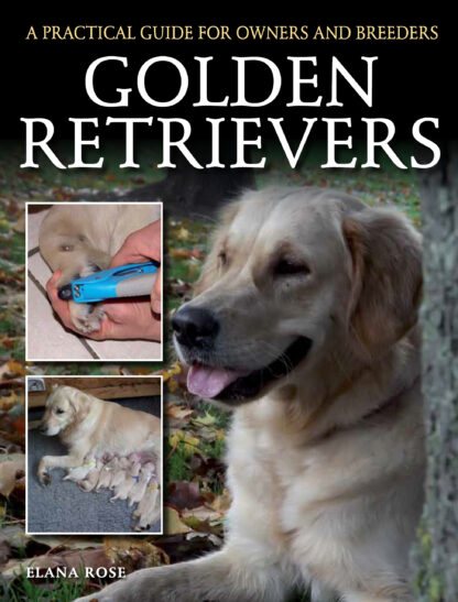 Golden Retrievers  (Paperback)